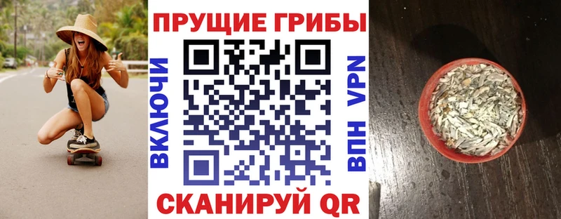 Галлюциногенные грибы Cubensis даркнет состав Дальнегорск